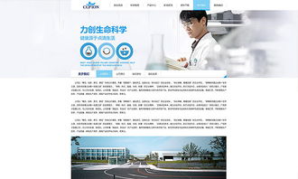 天津網站制作 醫療行業官網網站建設