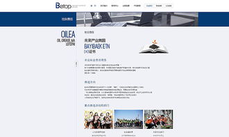 天津網站建設 石油化工官網案例欣賞